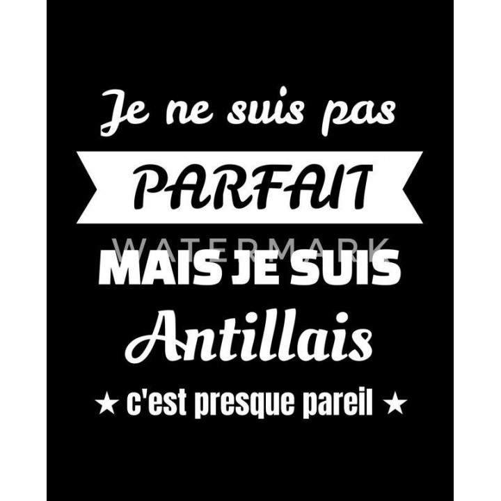 je ne suis parfait mais je suis antillais