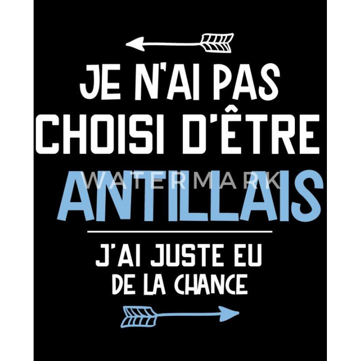 Je n'ai pas choisi d'être antillais j'ai juste eu de la chance