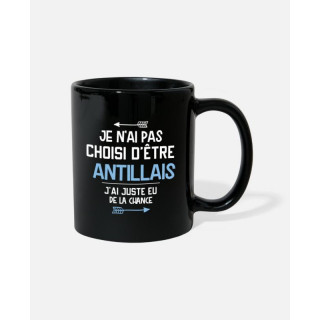 Je n'ai pas choisi d'être antillais j'ai juste eu de la chance